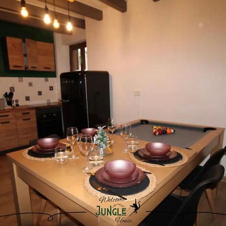 Maison "Jungle House" 90 M2 Billard, Retroprojecteur, Bar A Jeux , Vinyle, Wifi Fibre, Ideal Pro & Famille A Montbrison Exterior photo