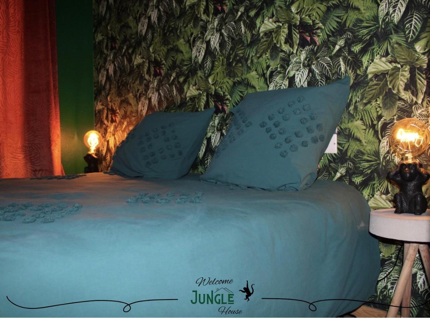 Maison "Jungle House" 90 M2 Billard, Retroprojecteur, Bar A Jeux , Vinyle, Wifi Fibre, Ideal Pro & Famille A Montbrison Exterior photo